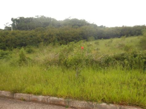 residential lot for sale in mandeville manchester jamaica propertyads jamaica