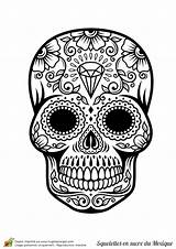 Visit Skull sketch template