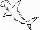 Shark Hammerhead Drawing Coloring Pages Outline Line Great Drawings Kids Tattoo Sharks Whale Color Clipart Hungry Watercolor Print Printable Animal sketch template