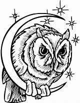 Eule Eulen Mond Ausmalbilder Sterne Crescent Owls Sowa Malvorlagen Halbmond Clipartbest Tiere Midnight Designlooter Drukuj sketch template