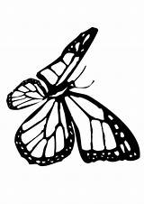 Butterfly Monarch Coloring Pages Small Printable Clipart Cliparts Kids Crayola Cartoon Print Drawing Line Popular Palm Getcolorings Coloringhome Paintingvalley Library sketch template