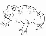 Coloring Bullfrog Pages Tree Frog Red Eyed Eye Drawing Getcolorings 93kb 629px Bull Getdrawings sketch template