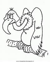 Avvoltoio Vulture Kleurplaten Geier Animali Buitres Vogel Burung Mewarnai Buitre Oiseau Animasi Coloringpages Bewegende Bergerak Animaties Vogels Malvorlage Boyama Uccelli sketch template