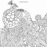 Coloring Pages Peacock Adults Adult Print Printable Drawing Color Line Mindfulness Mindful Peacocks Colouring Young Stress Mandala Getdrawings Books Amazon sketch template