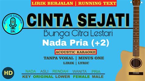 karaoke male pria cinta sejati bunga citra lestari