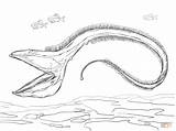 Eel Gulper Viper Tiefseefische Fish Fishes Justcoloringbook Ausdrucken sketch template