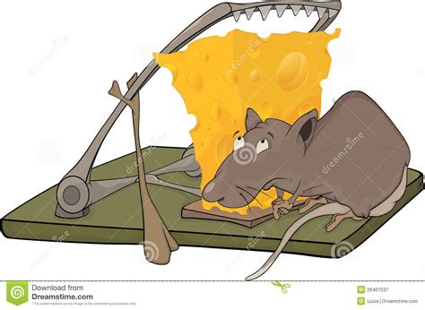 de kaas van de rat en een muizeval vector illustratie illustration  ongedierte grap