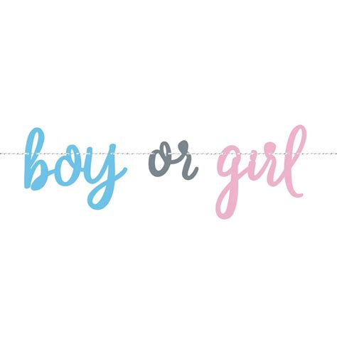 boy  girl gender reveal banner baby shower party supplies