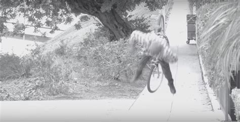 bike thieves  absolutely obliterated  electrocuted  bait bike prank