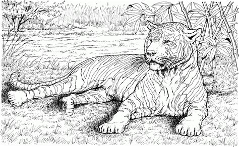 realistic animal coloring pages printable  compassion quotes
