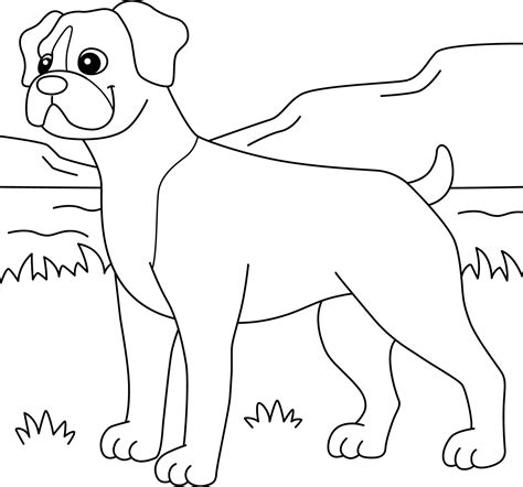 boxer dog coloring page  kids  vector art  vecteezy