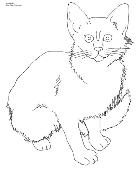 calico cat coloring   designlooter