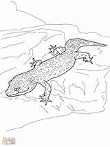 Gecko Leopard Crested sketch template
