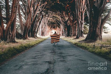 running   forest photograph  halid kalkan fine art america