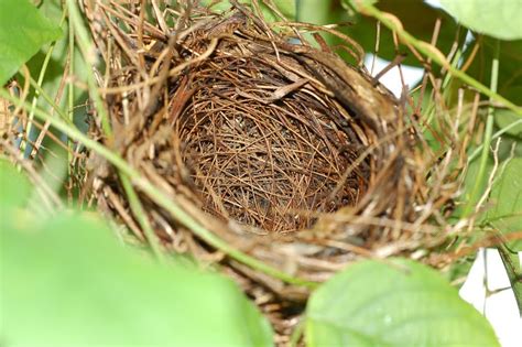 single moms empty nest