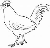 Chicken Coloring Color Pages Animal Animals Print Back sketch template