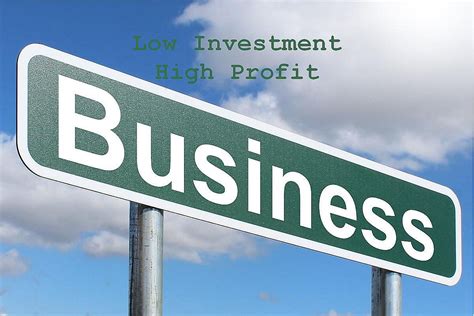 investment high profit business ideas  india business walls