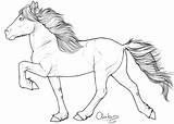 Horse Icelandic Outline Pony Paarden Drawings Lineart Choose Board Gallop Google sketch template