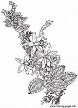 Orchid Mural Coloring Branch Umbrella Brett Jan Reverse Segment Pages Printable sketch template