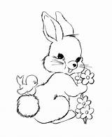 Coloring Pages Bunnies Baby Print Color sketch template