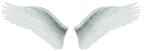 psd files   angel wingsangel wing tattoosangel wing