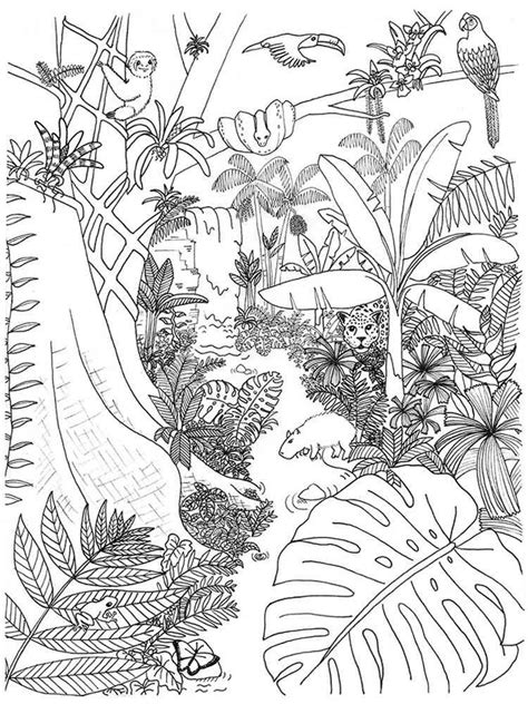 jungle coloring pages