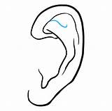 Ear Draw Drawing Step Easy sketch template