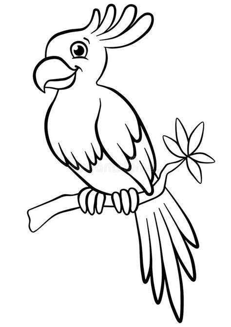 coloring pages birds  cute parrot stock vector illustration