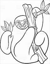 Sloths Sloth Coloringbay sketch template