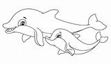 Lumba Mewarnai Ikan Binatang Anaknya Aneka Hewan Dolphin sketch template
