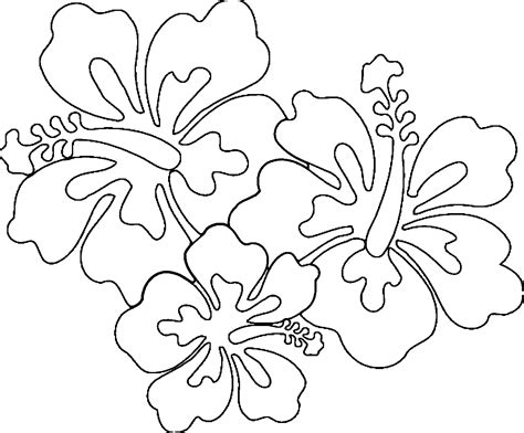 exotic flowers coloring pages printable coloring pages
