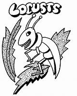 Locust Plague sketch template
