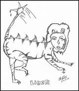 Liger Napoleon Drawing sketch template