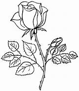 Coloring Roses Pages Rose Color Print Para Rosas Colorear Dibujos Dessin Flores sketch template
