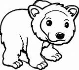 Coloring Bear Grizzly Brown Cute Kodiak Illustration Pages Wecoloringpage sketch template