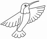 Hummingbird Coloring Pages Printable Ruby Throated Drawing Color Step Colouring Kids Getdrawings Getcolorings Cool2bkids Print Clipartmag sketch template