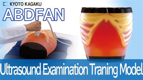 ultrasound examination training model abdfan youtube