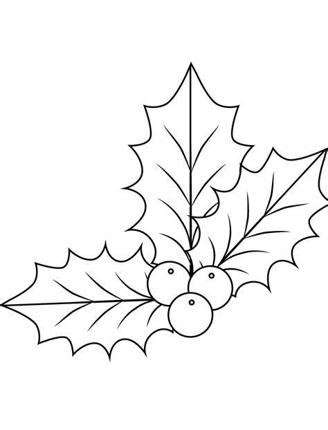 holly leaves coloring pages coloring home