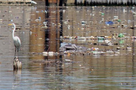 exploring polluted nyc waterways    decide im       riverkeeper