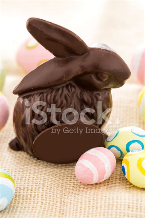 chocolate bunny stock photo royalty  freeimages