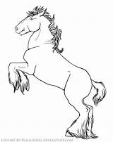 Horse Draft Coloring Pages Rearing Deviantart Printable Horses Sheets Color Draught Drawings Shire Popular Getcolorings Template sketch template