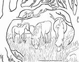 Ponies Dartmoor sketch template
