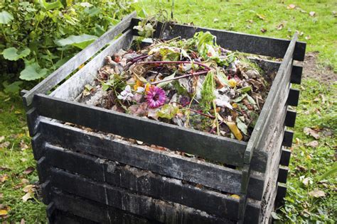 kompost eigenkompostierung umweltbundesamt