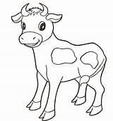 Coloring Baby Cow Pages Animals Calf Printable Clipart Longhorn Animal Print Drawing Cute Adults Farm Cows Supercoloring Color Colouring Sheet sketch template