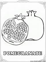 Pomegranate Coloring Granada Berries Mandalas sketch template
