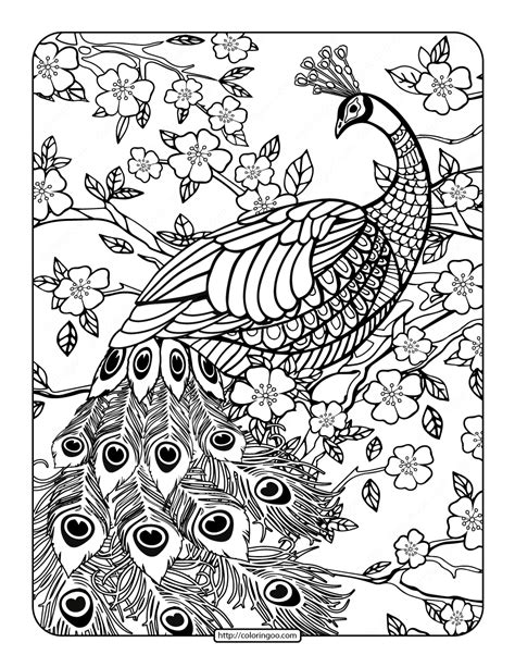 printables peacock coloring page