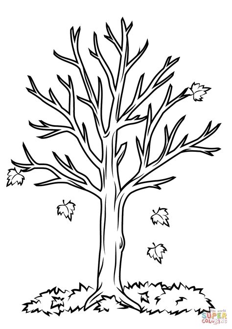 gambar fall tree coloring page  printable pages click book trees