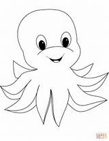 Tintenfisch Ausmalbilder Octopus Krake sketch template