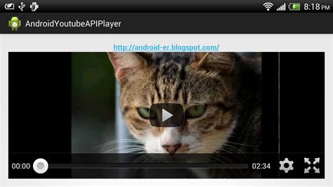 android er simple   youtube android player api