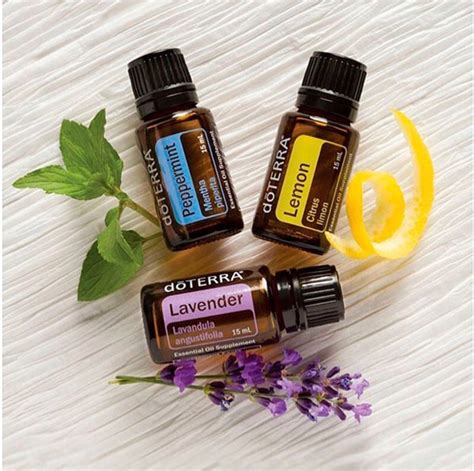 doterra kit apresentacao  frascos de ml frete gratis mercado livre